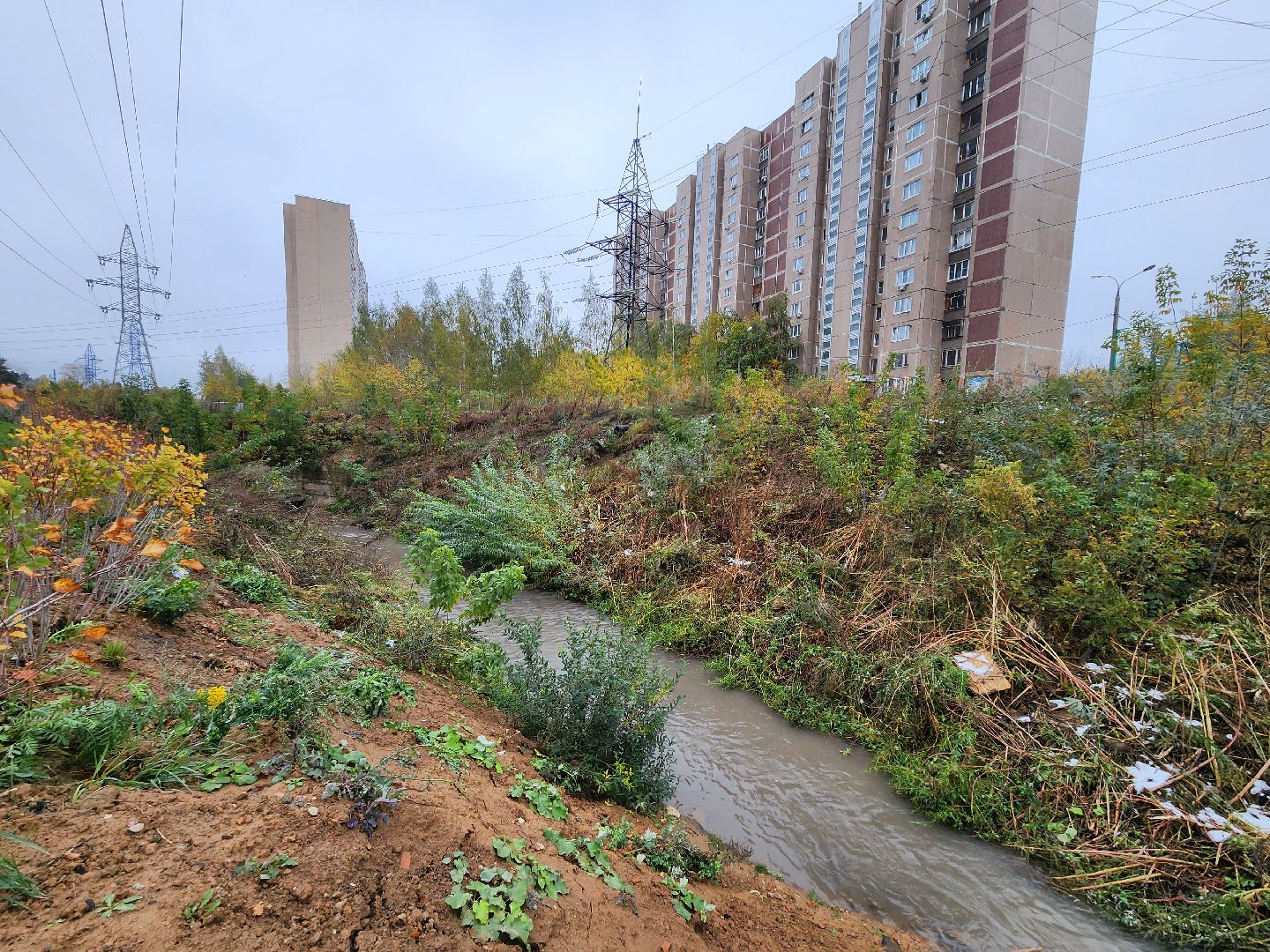 одинцово, глазынинский пруд, губкинский пруд, экология, загрязнение,