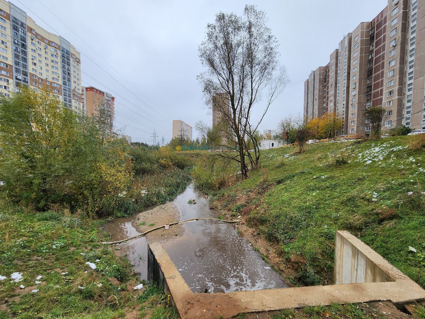 одинцово, глазынинский пруд, губкинский пруд, экология, загрязнение,