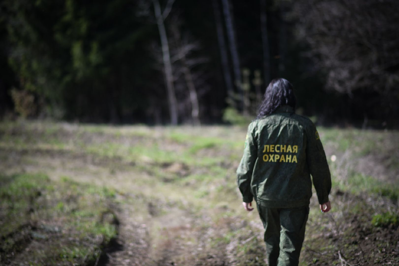 Лесхоз, Смежник, Луховицы