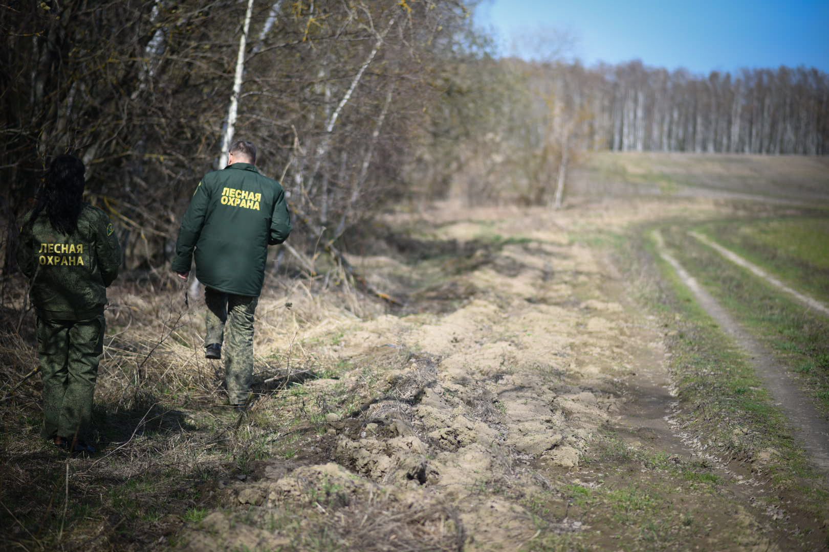 Лесхоз, Смежник, Луховицы