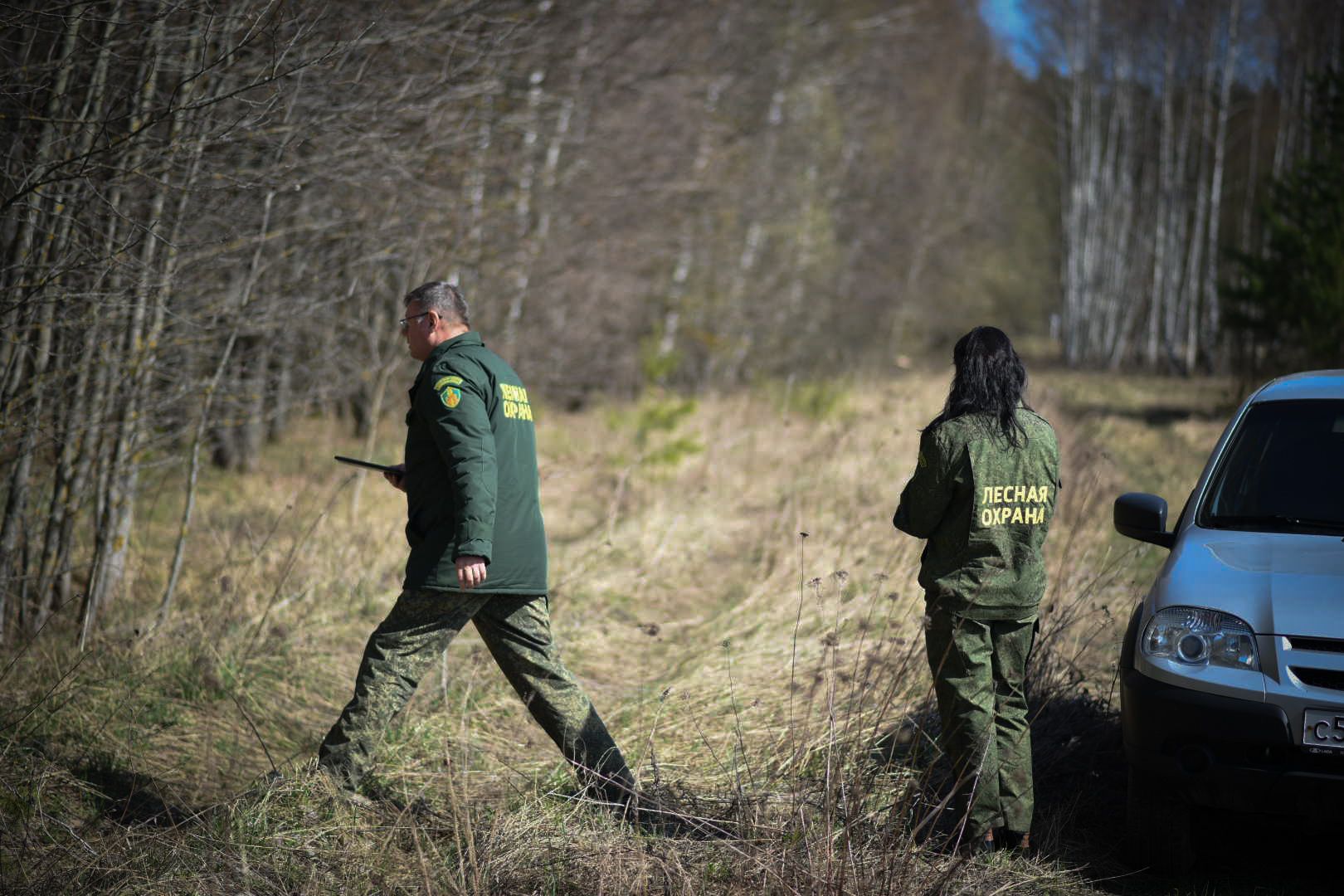 Лесхоз, Смежник, Луховицы