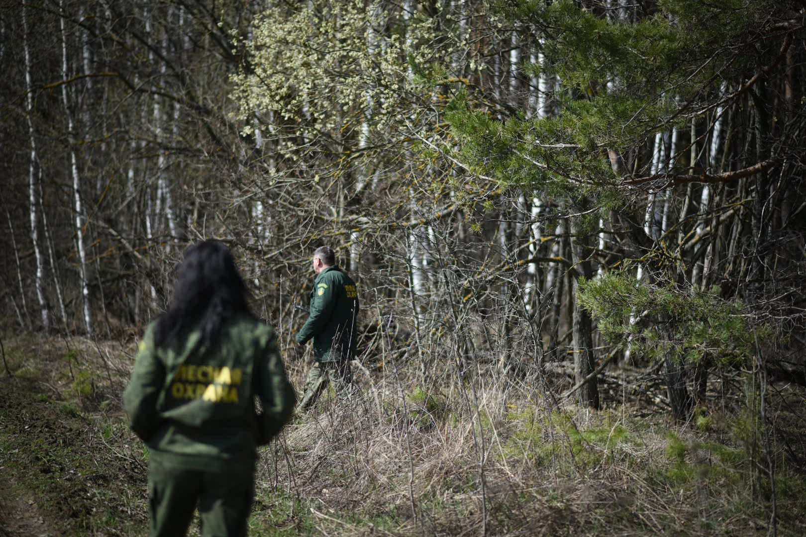 Лесхоз, Смежник, Луховицы