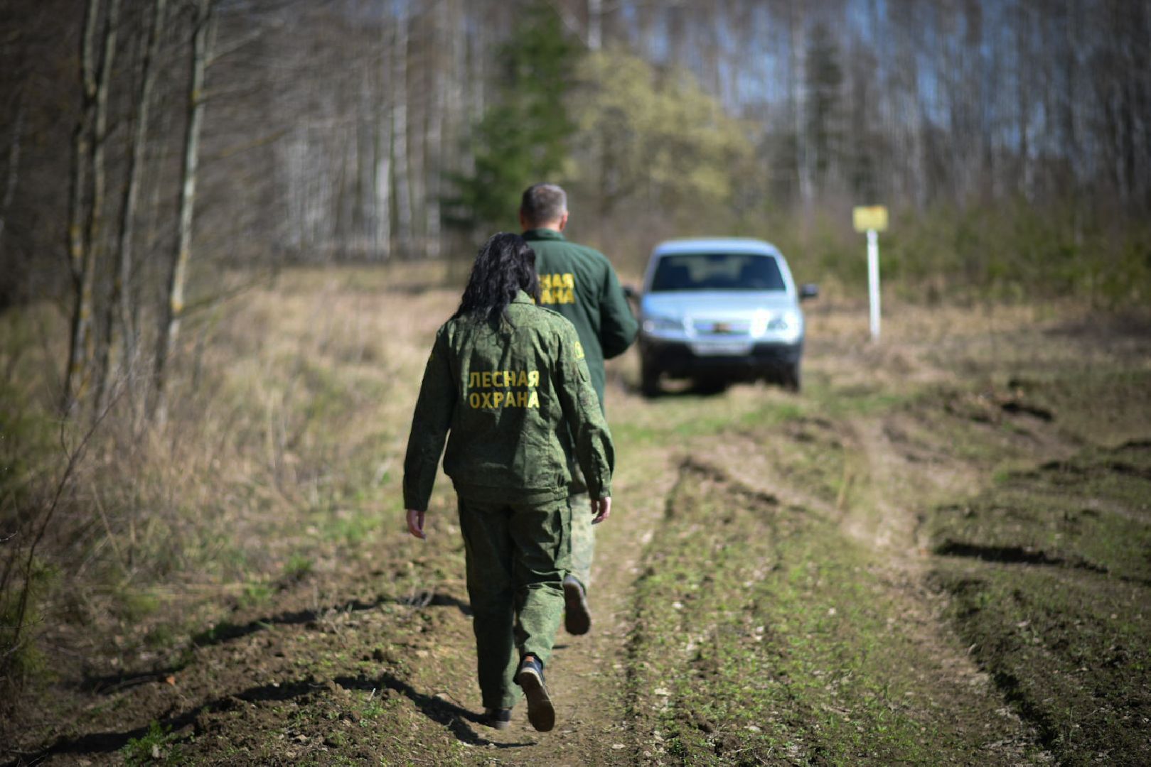 Лесхоз, Смежник, Луховицы