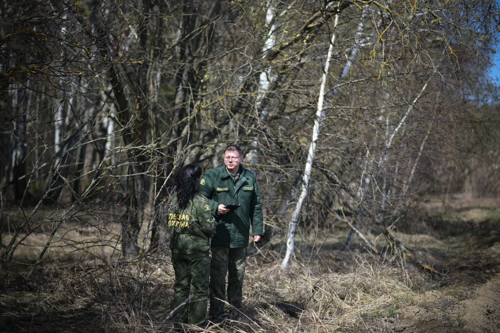 Лесхоз, Смежник, Луховицы