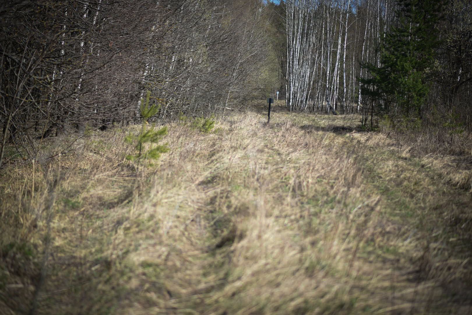 Лесхоз, Смежник, Луховицы