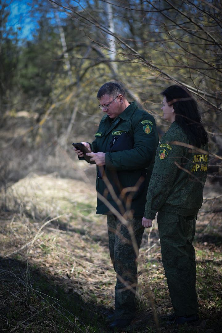Лесхоз, Смежник, Луховицы