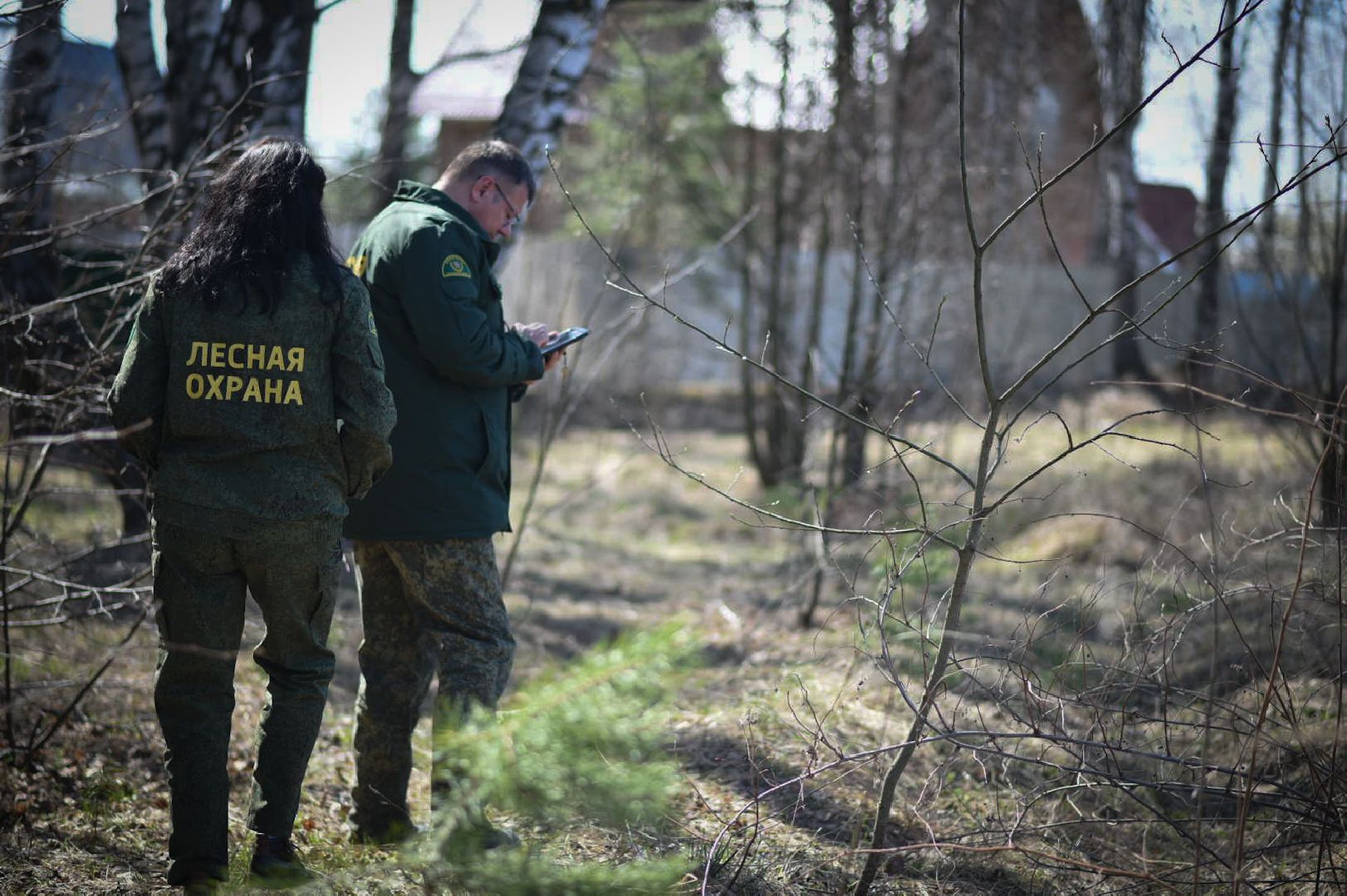 Лесхоз, Смежник, Луховицы