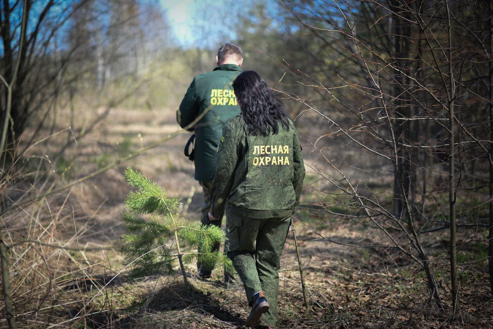 Лесхоз, Смежник, Луховицы
