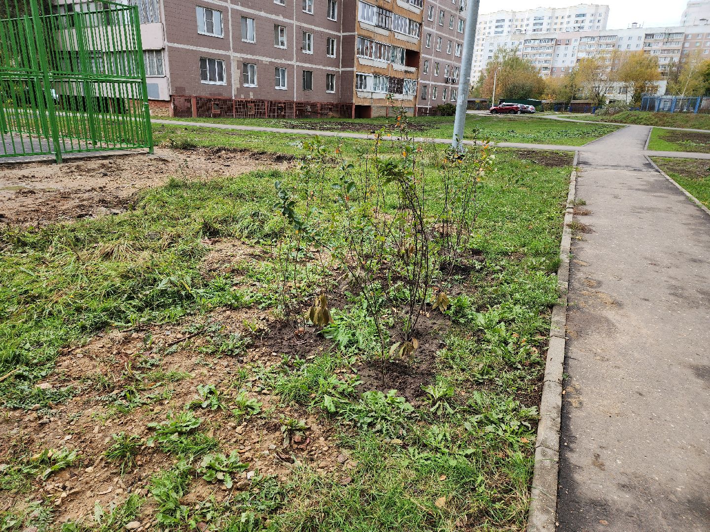 серпухов, подмосковье, новая спортивная площадка, улица Новая, комплексное благоустройство,