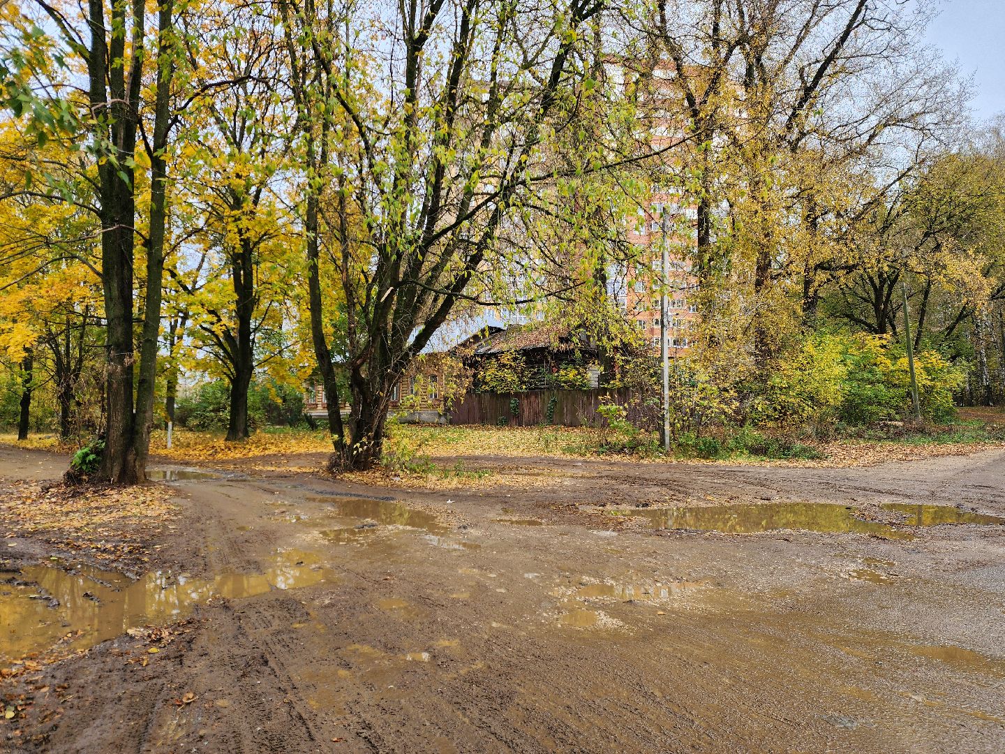 ногинск, выездная администрация, жители, общество, дороги, новый дом, строительство дороги, первый заместитель главы, богородский городской округ,