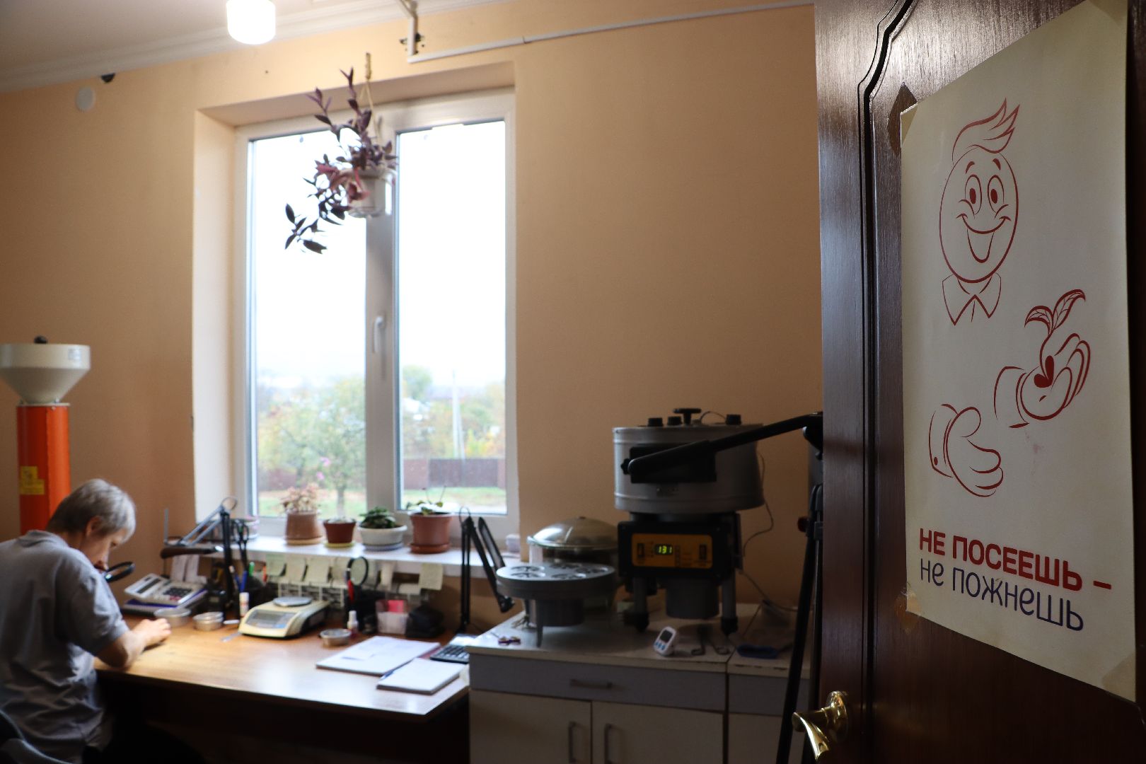 Сельское хозяйство, Серебряные Пруды, элеватор, уборочная 2024,