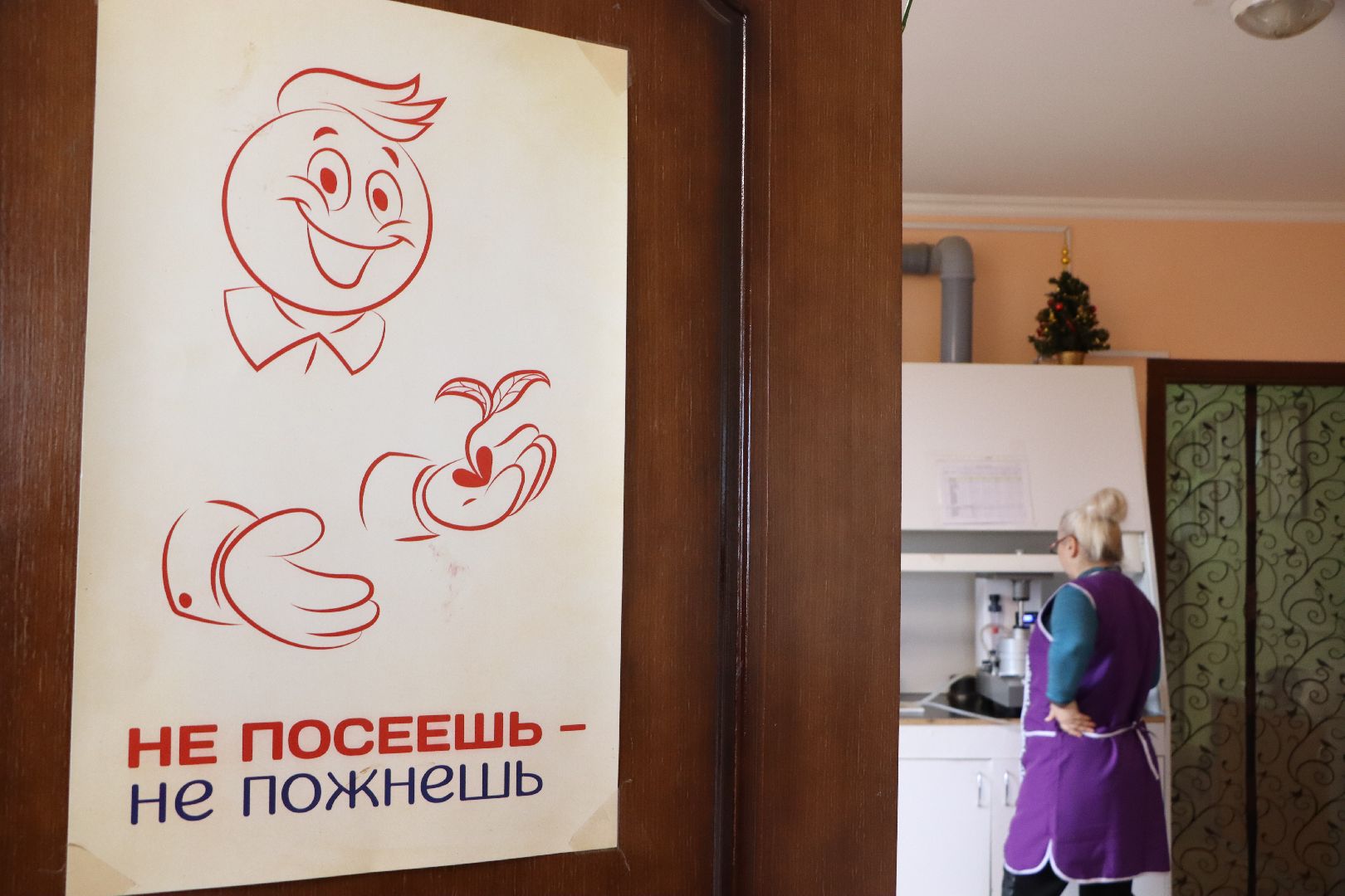 Сельское хозяйство, Серебряные Пруды, элеватор, уборочная 2024,