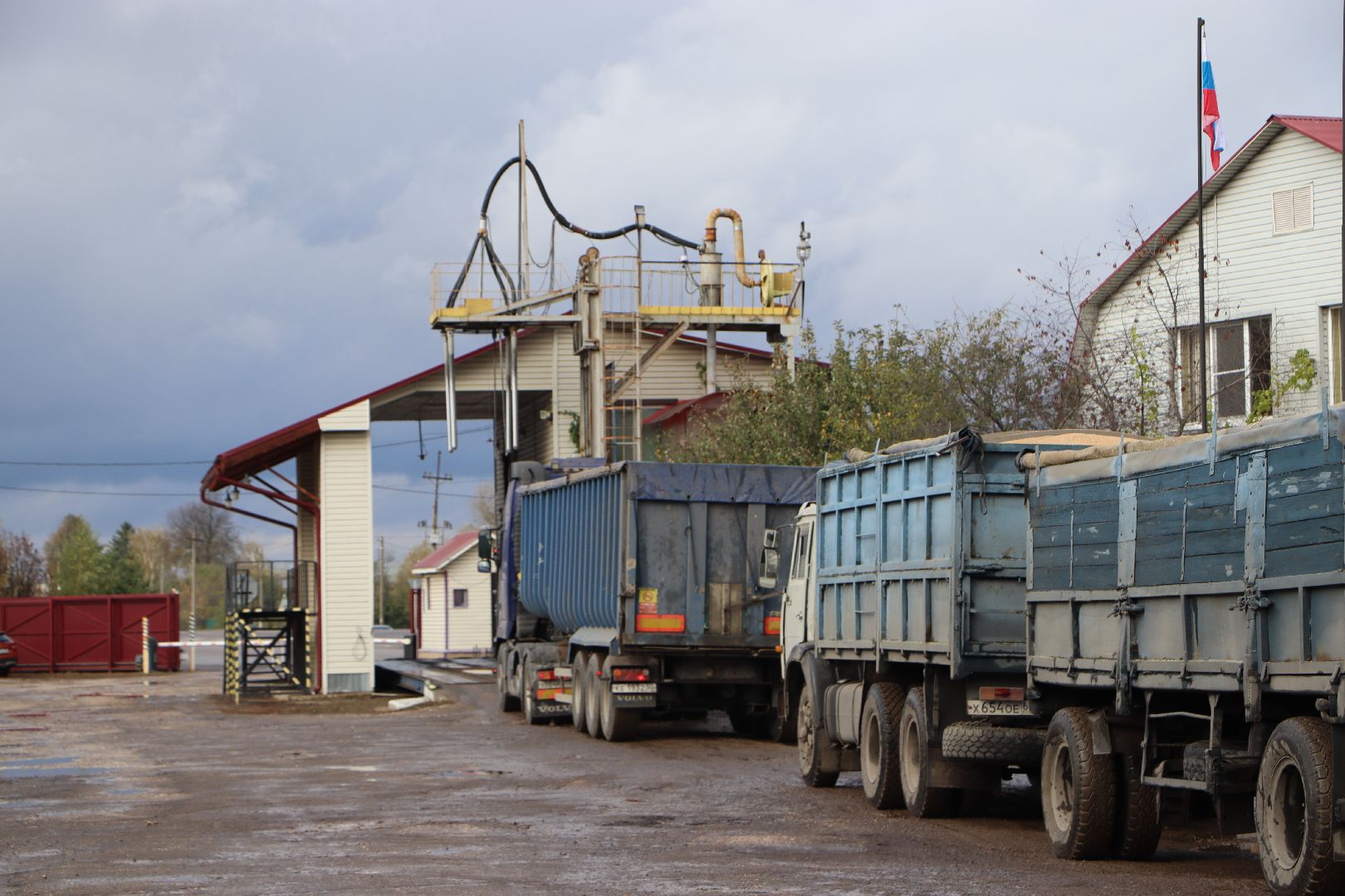 Сельское хозяйство, Серебряные Пруды, элеватор, уборочная 2024,