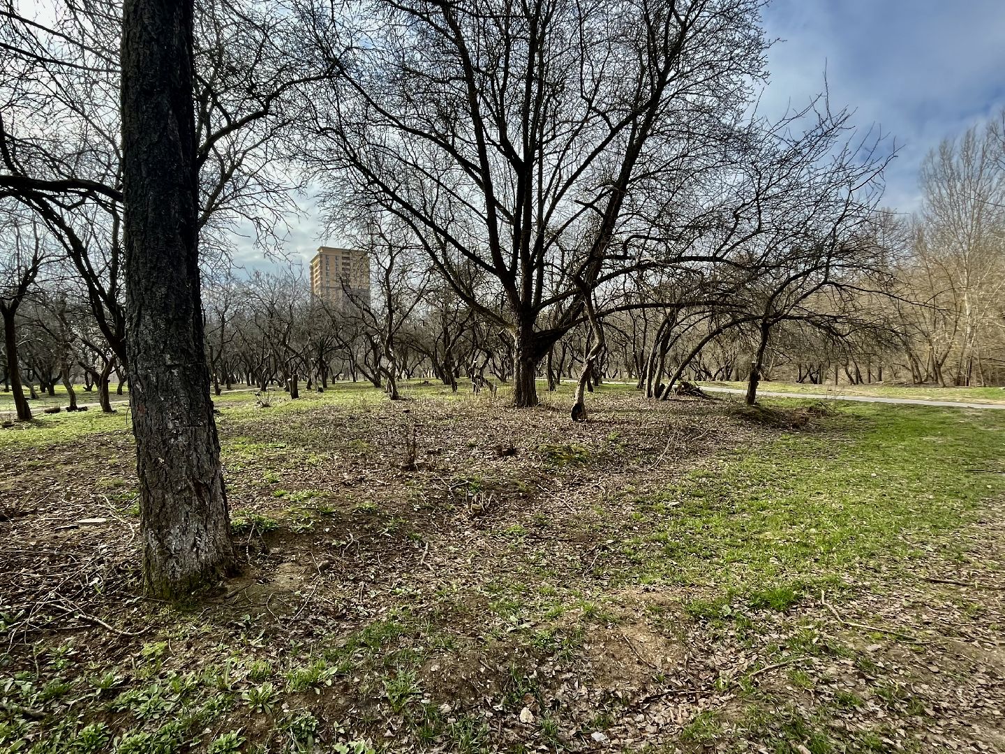 Наро-Фоминск, субботник, чистое Подмосковье, Наро-Фоминский городской округ, чистый двор