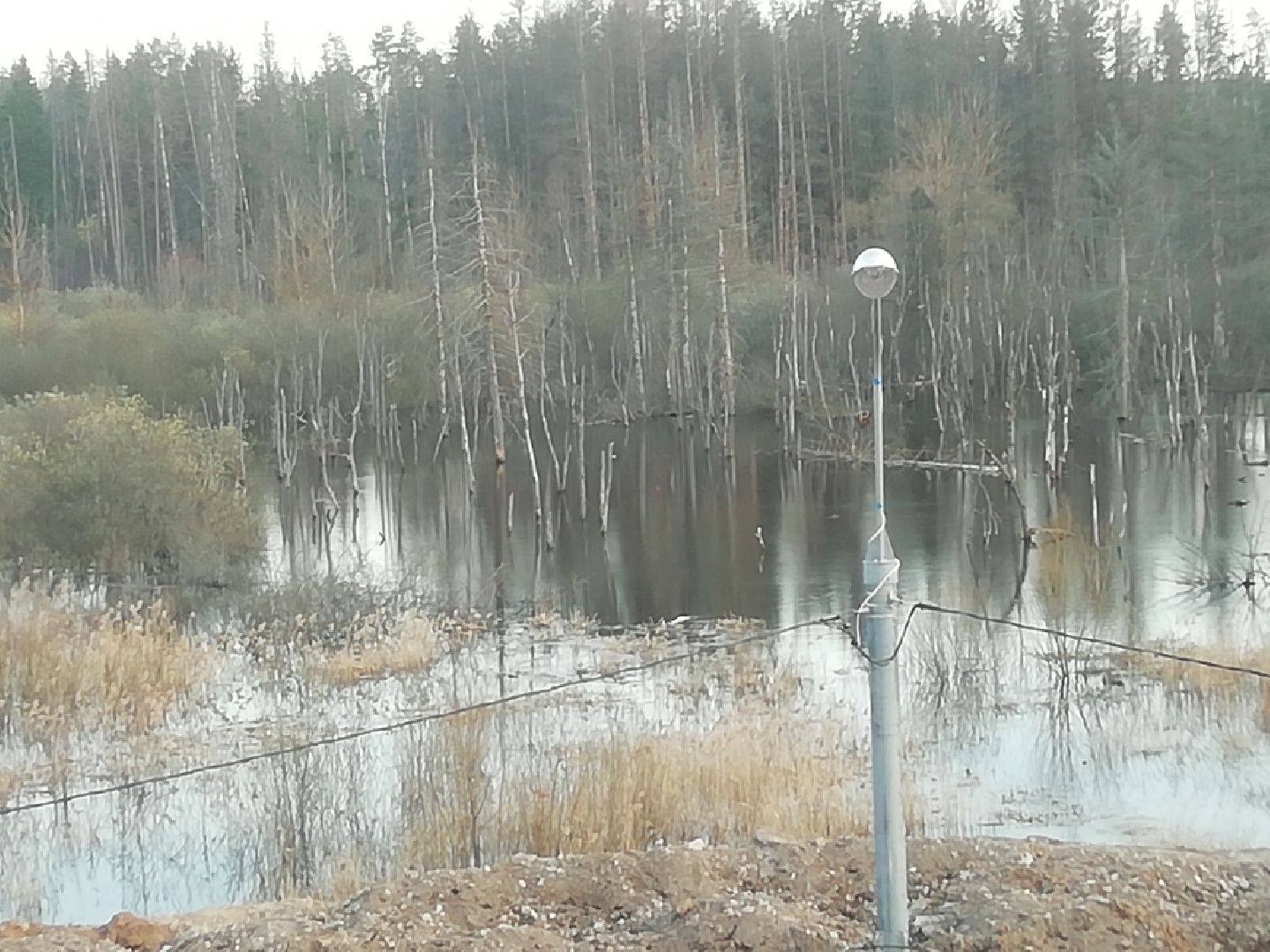 строительство ливневой канализации, Звенигород, ЖЭУ, АНдрей Иванов, Марианна Кристалинская