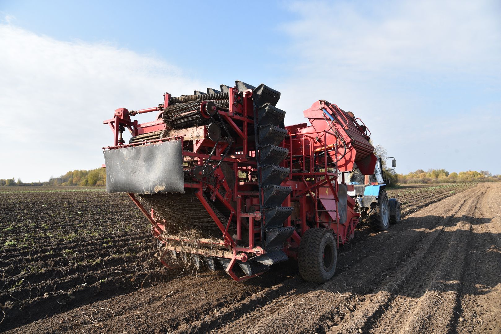 лотошино, сельское хозяйство, картофель,