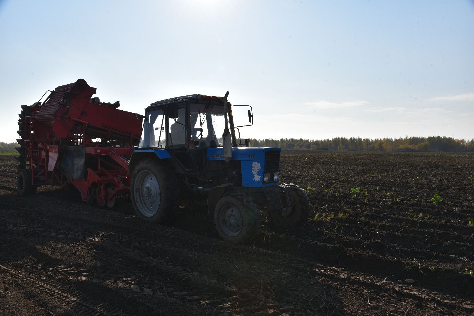 лотошино, сельское хозяйство, картофель,