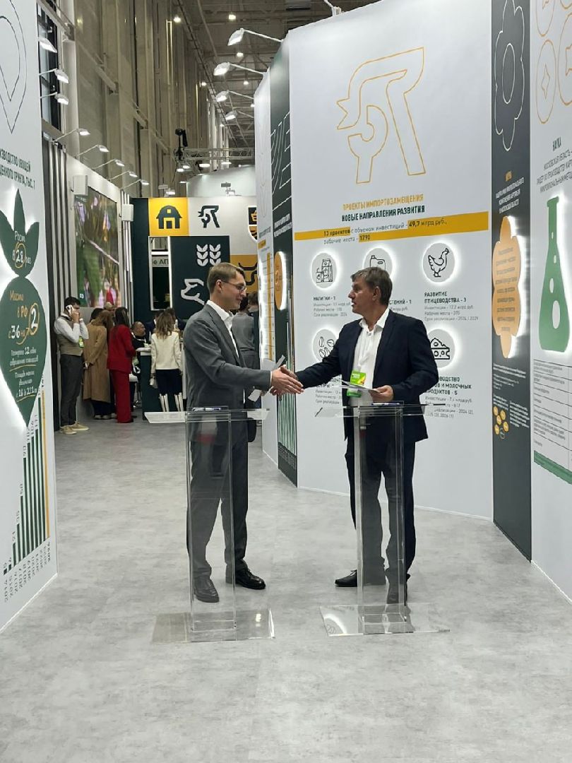 лотошино, сельское хозяйство, картофель,