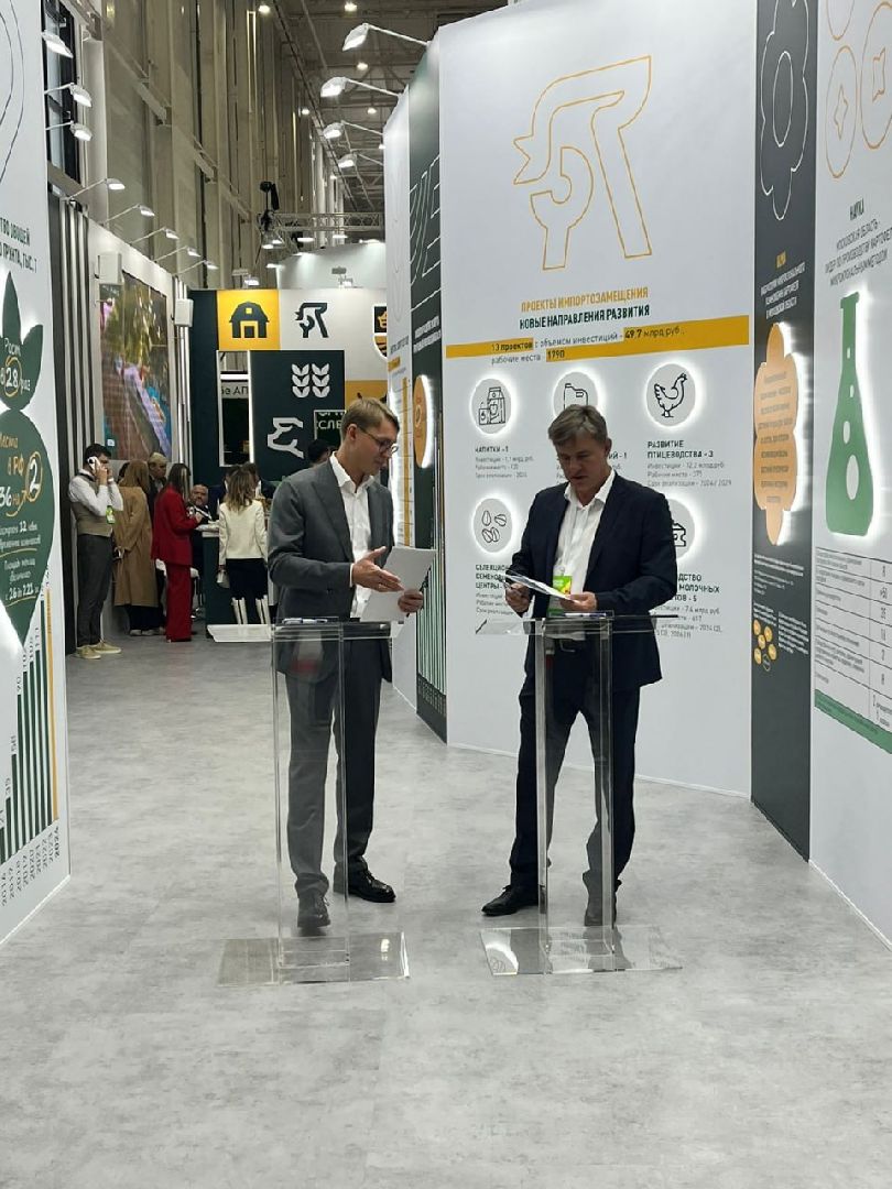 лотошино, сельское хозяйство, картофель,