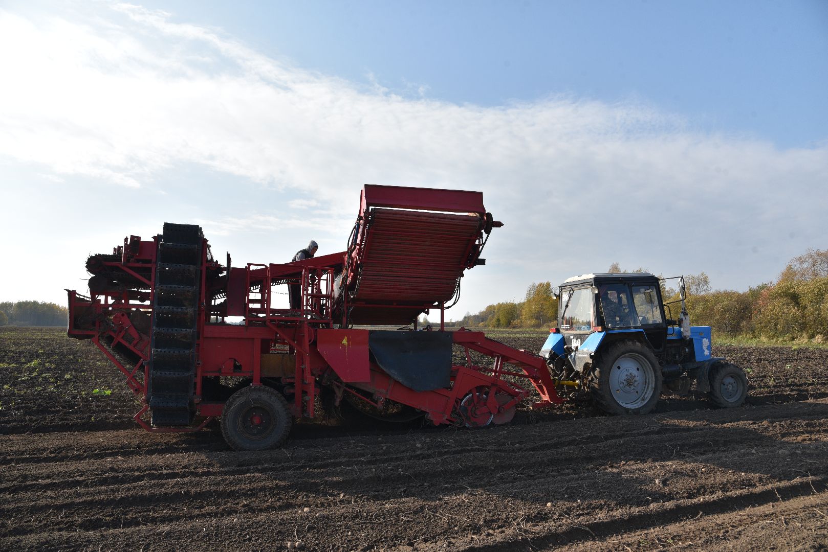 лотошино, сельское хозяйство, картофель,