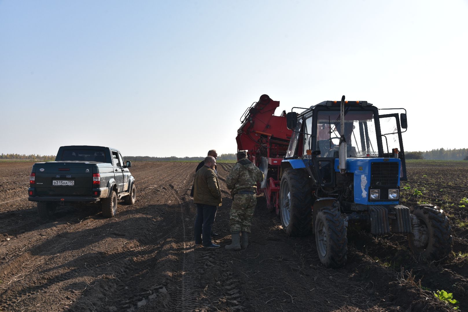 лотошино, сельское хозяйство, картофель,