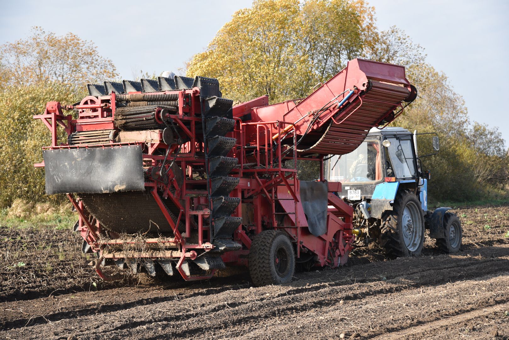 лотошино, сельское хозяйство, картофель,