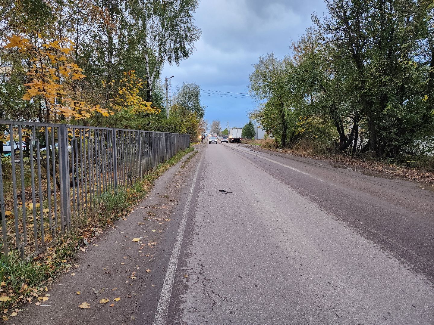 раменское, общество, выездная администрация, софьино,