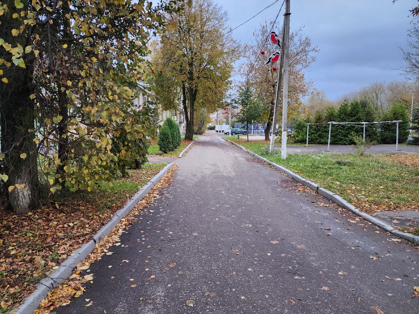 раменское, общество, выездная администрация, софьино,