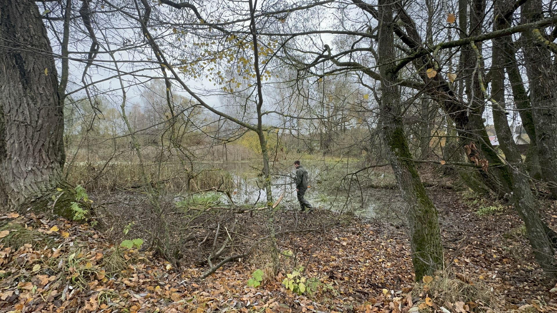 Солнечногорск, Экология, расчистка пруда, мусор, Жители,