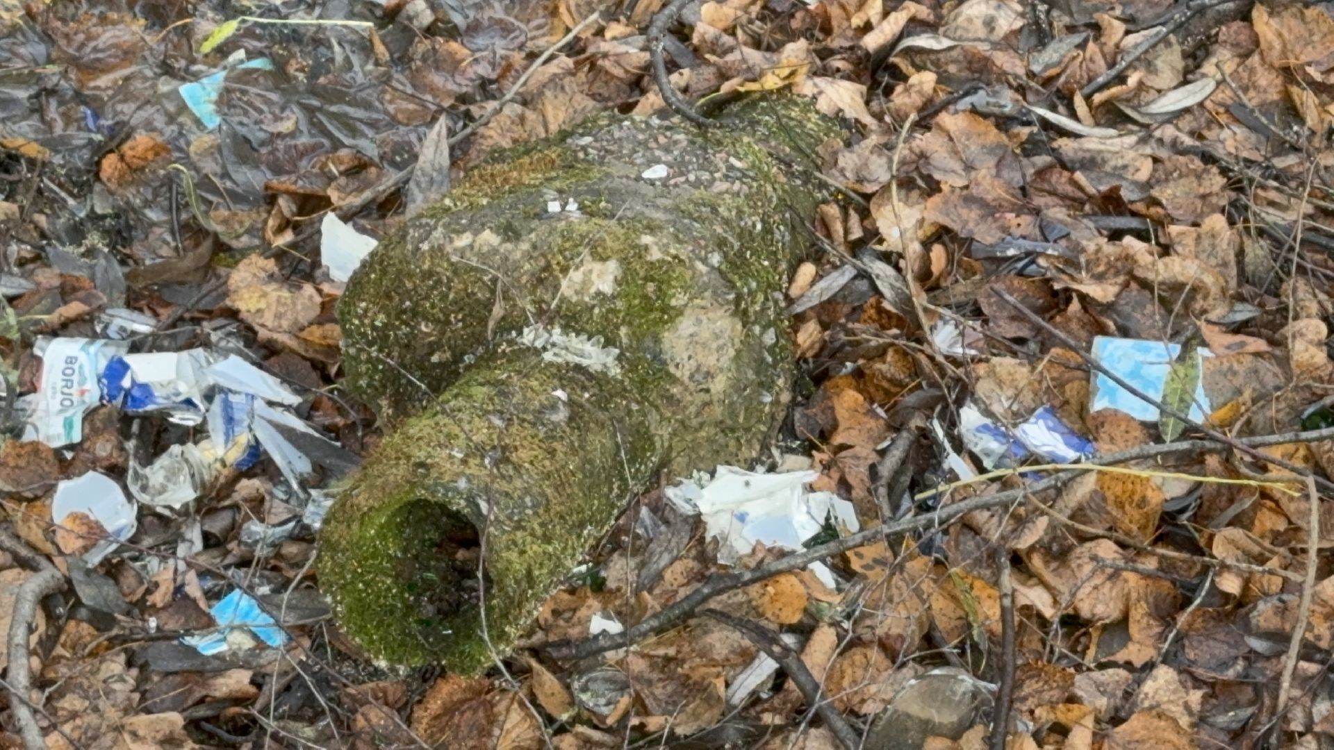 Солнечногорск, Экология, расчистка пруда, мусор, Жители,