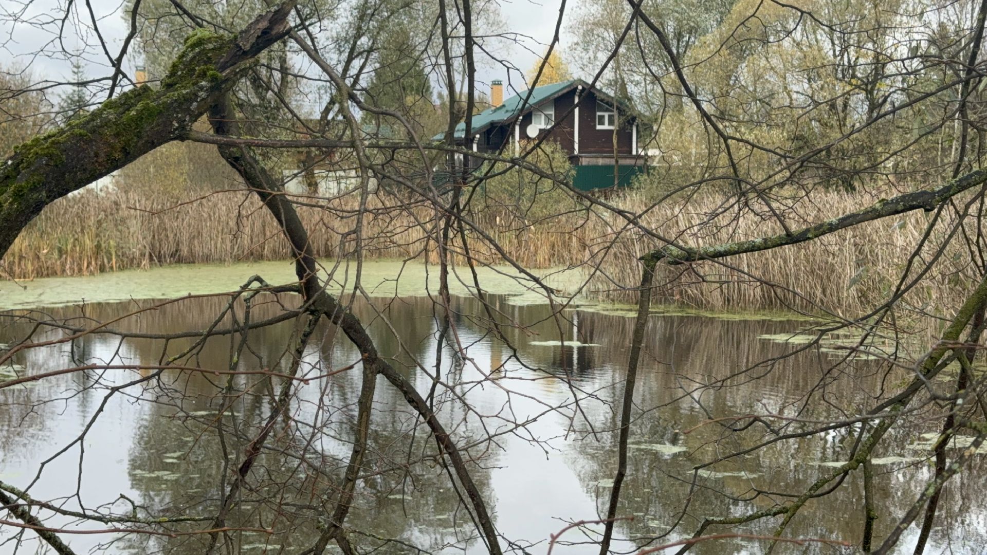 Солнечногорск, Экология, расчистка пруда, мусор, Жители,