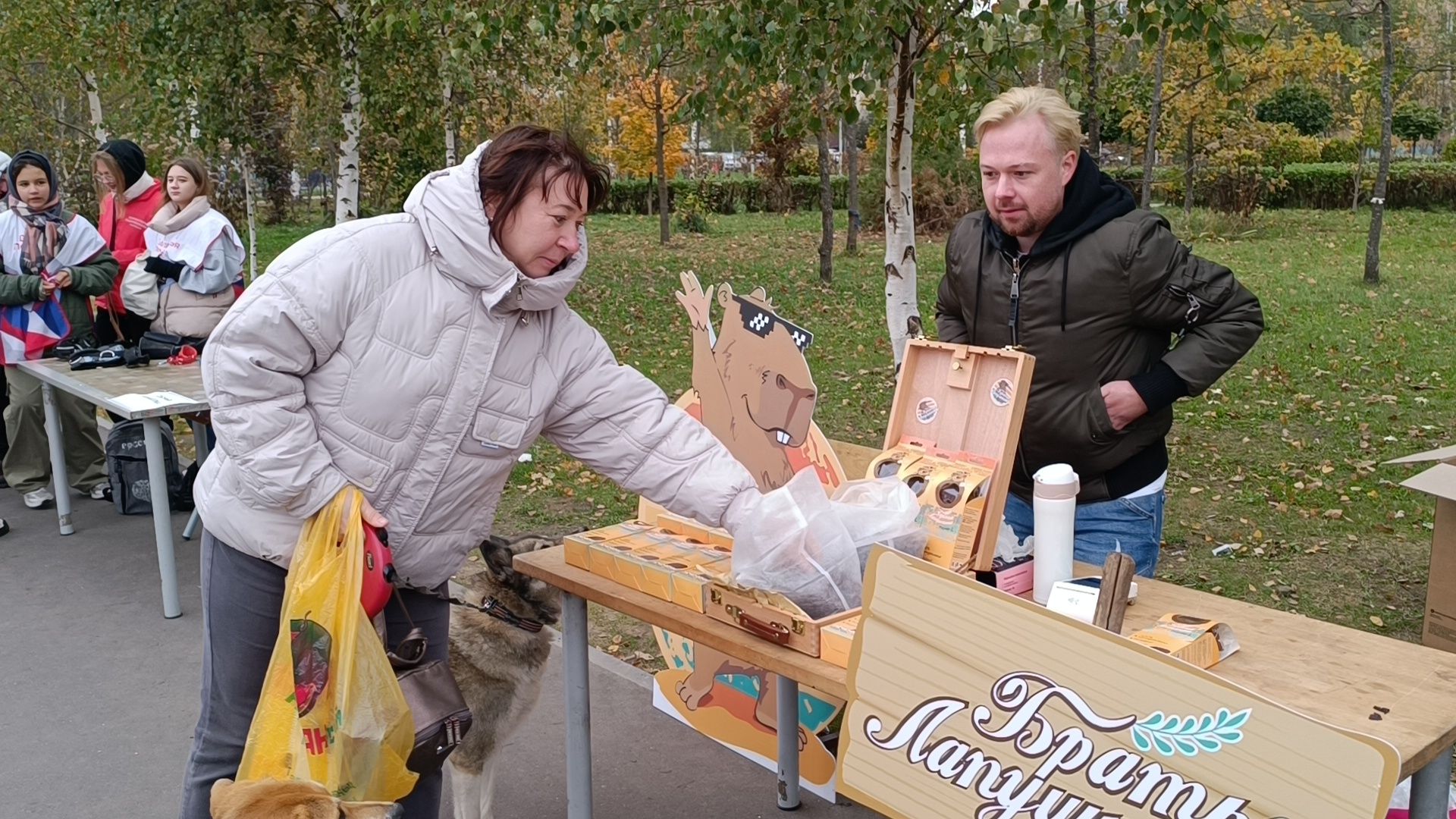 собака, парк, лобня,