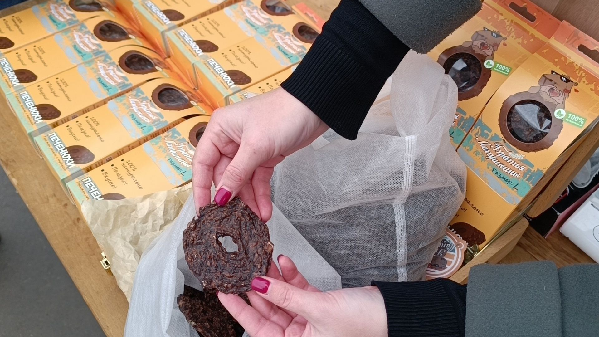 собака, парк, лобня,