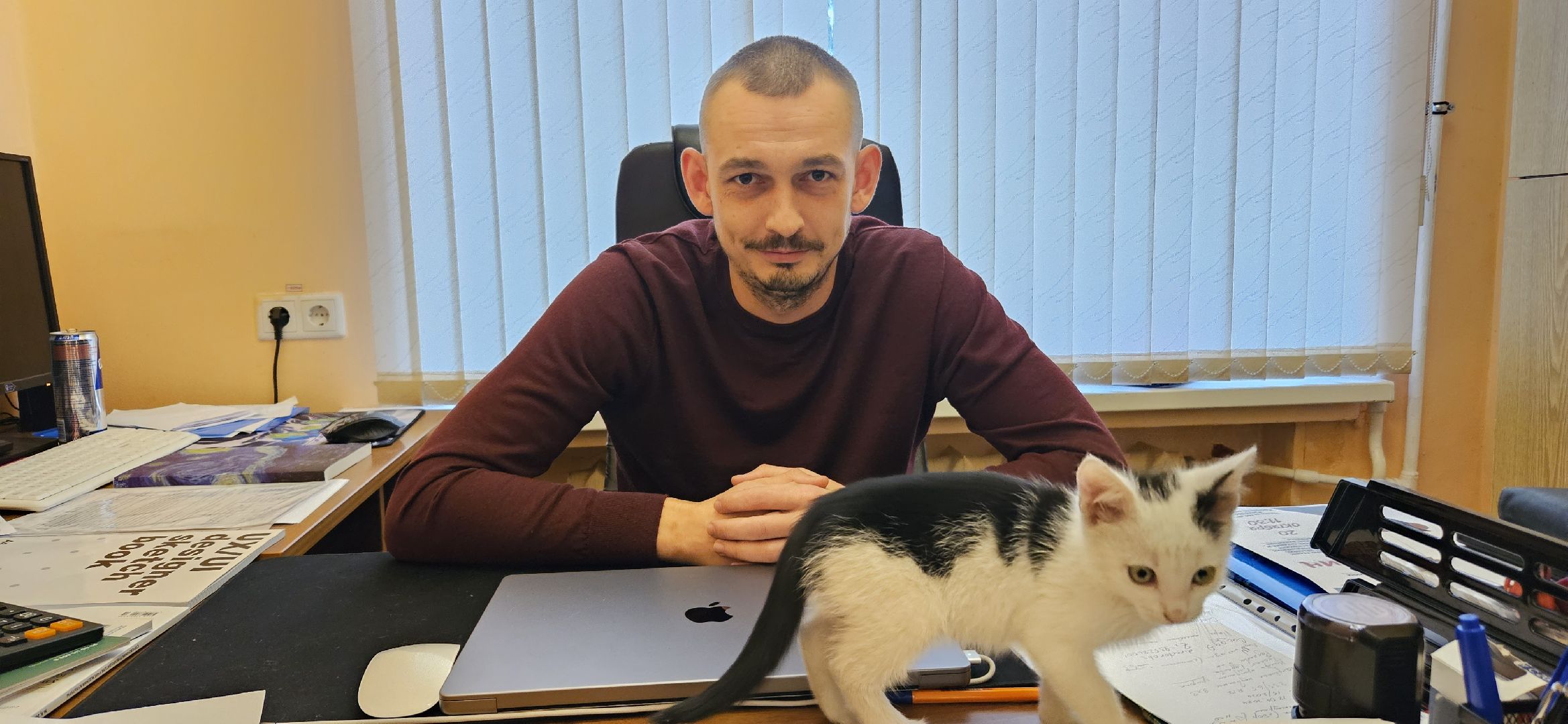 культура, образование, детская библиотека, Жуковский, музей,