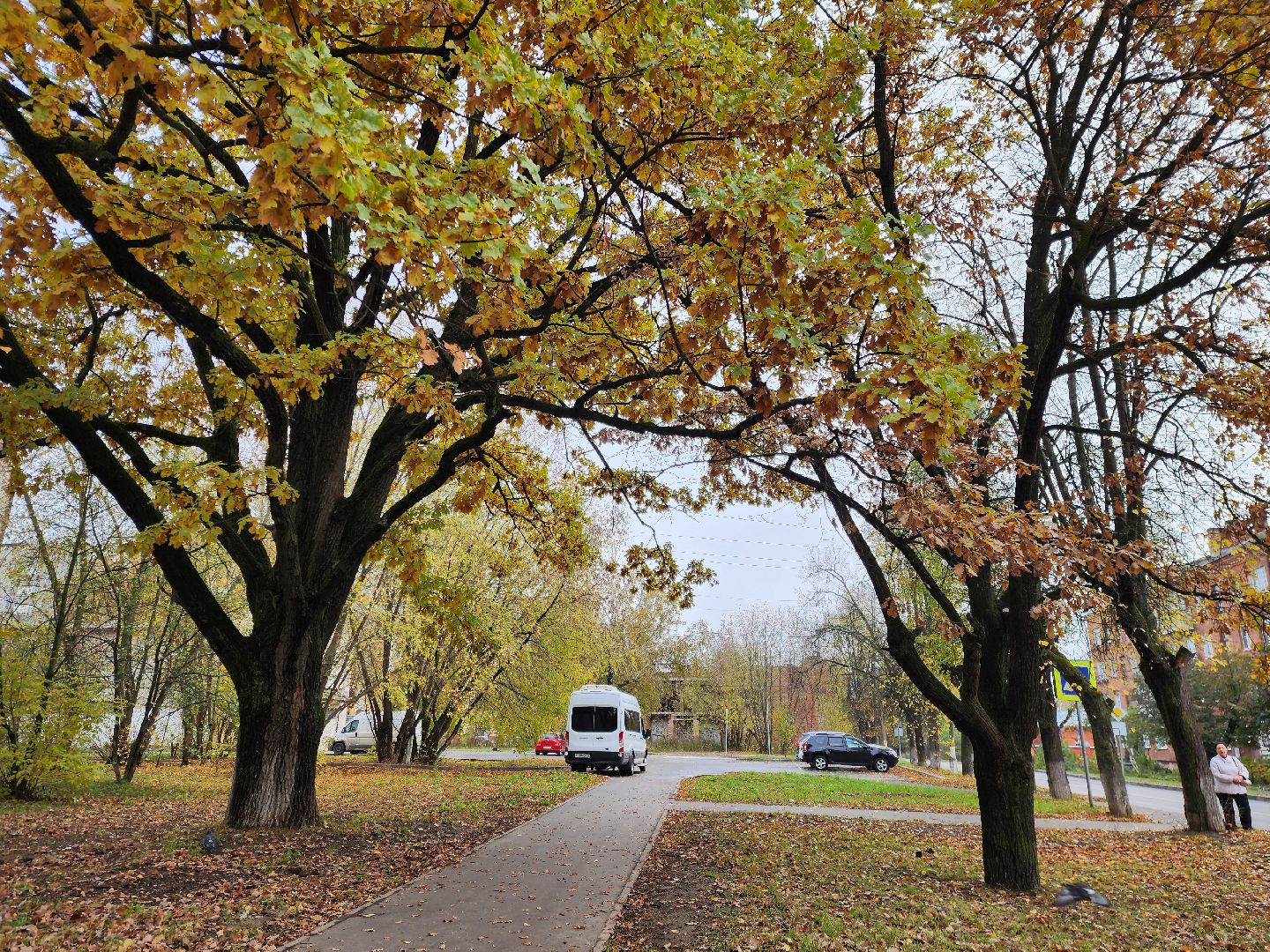 благоустойство, жители, общество, власть, оперативный объезд, памятник живой природы, достопримечательность,