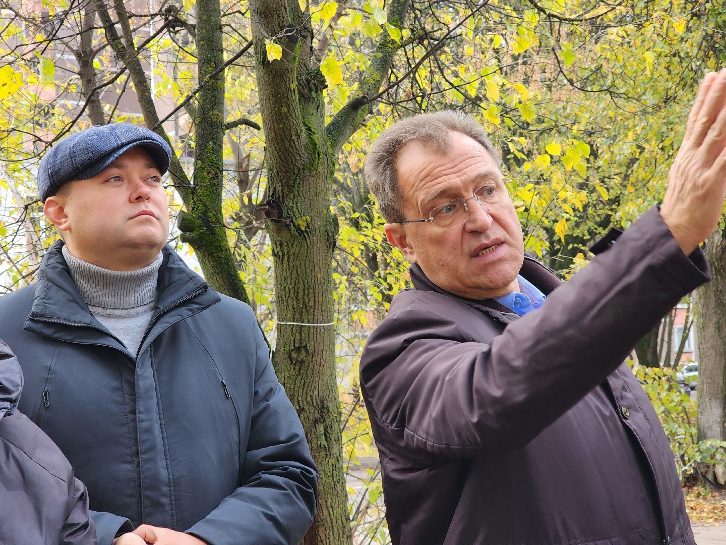 благоустойство, жители, общество, власть, оперативный объезд, памятник живой природы, достопримечательность,