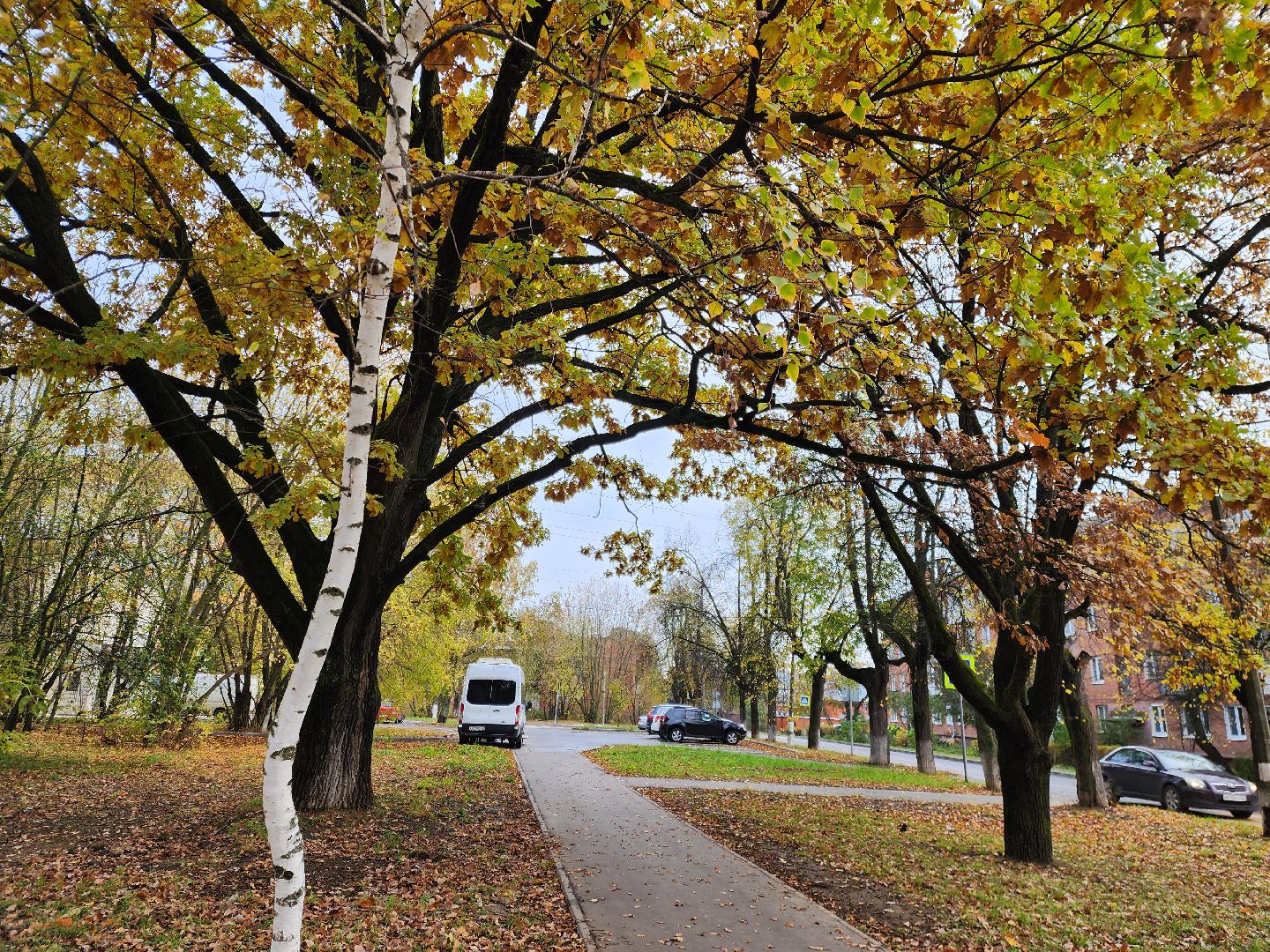 благоустойство, жители, общество, власть, оперативный объезд, памятник живой природы, достопримечательность,