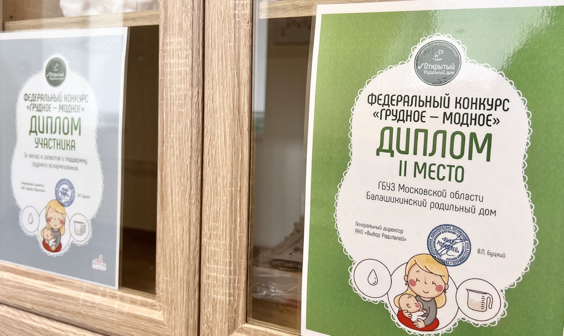Балашиха, Подмосковье, центр грудного вскармливания, Балашихинский роддом, Денис Аксенов, неонатологи подмосковья,