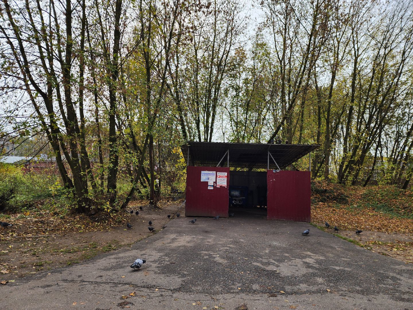 ногинск, жители, общество, оперативный выезд, глава, власть, контейнерная площадка, управляющая компания,