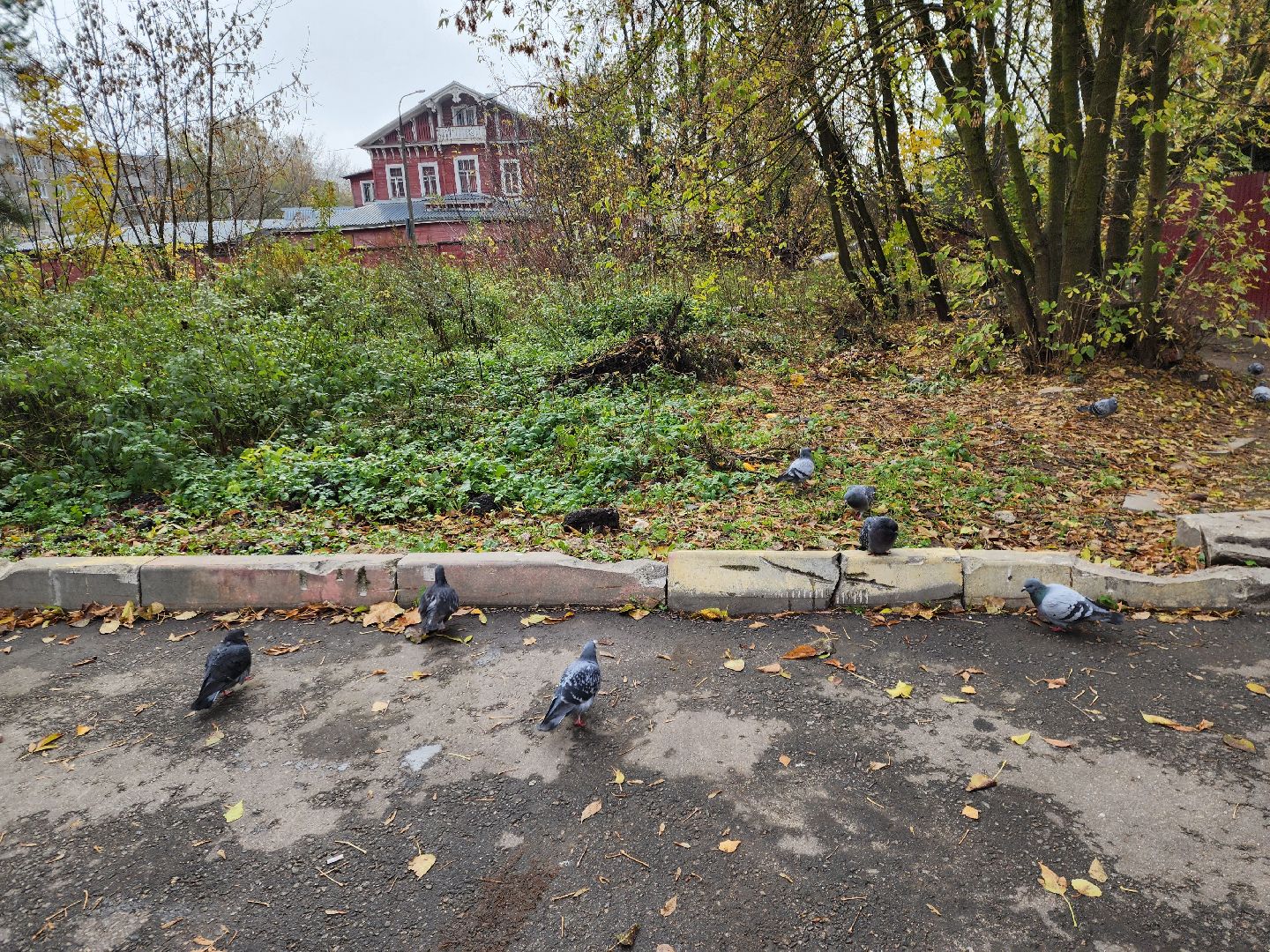 ногинск, жители, общество, оперативный выезд, глава, власть, контейнерная площадка, управляющая компания,