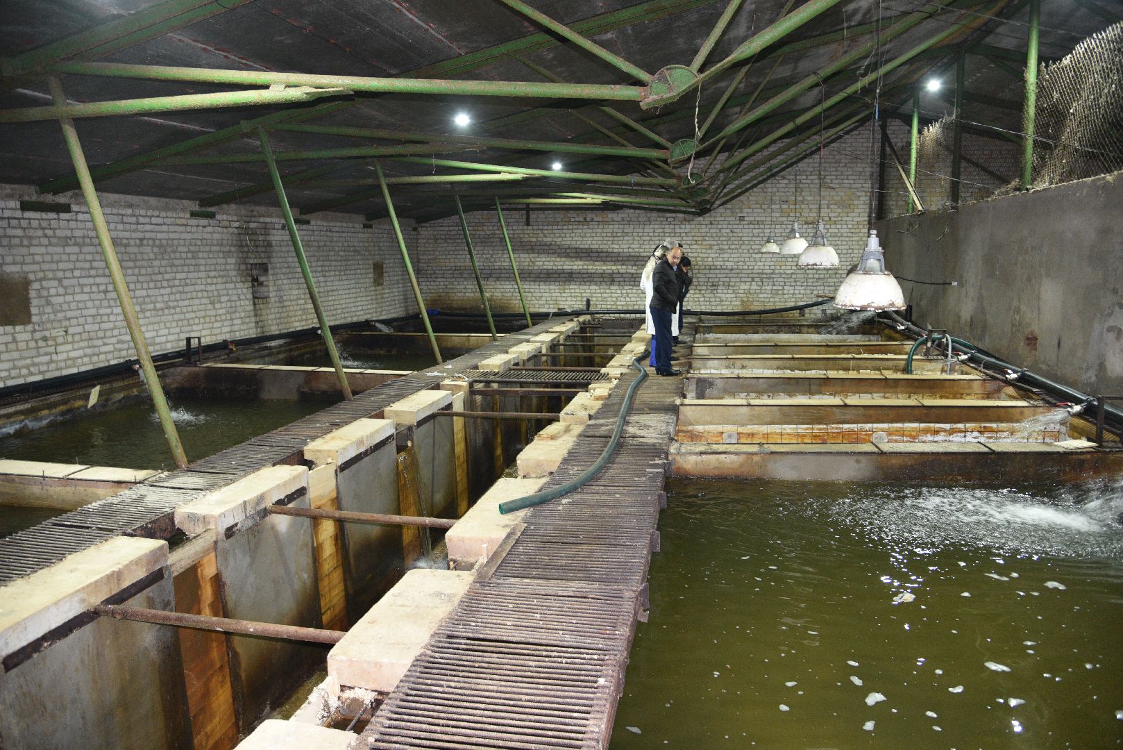 лотошино, лотофиш, экономика, сельское хозяйство, рыбоводческое хозяйство,