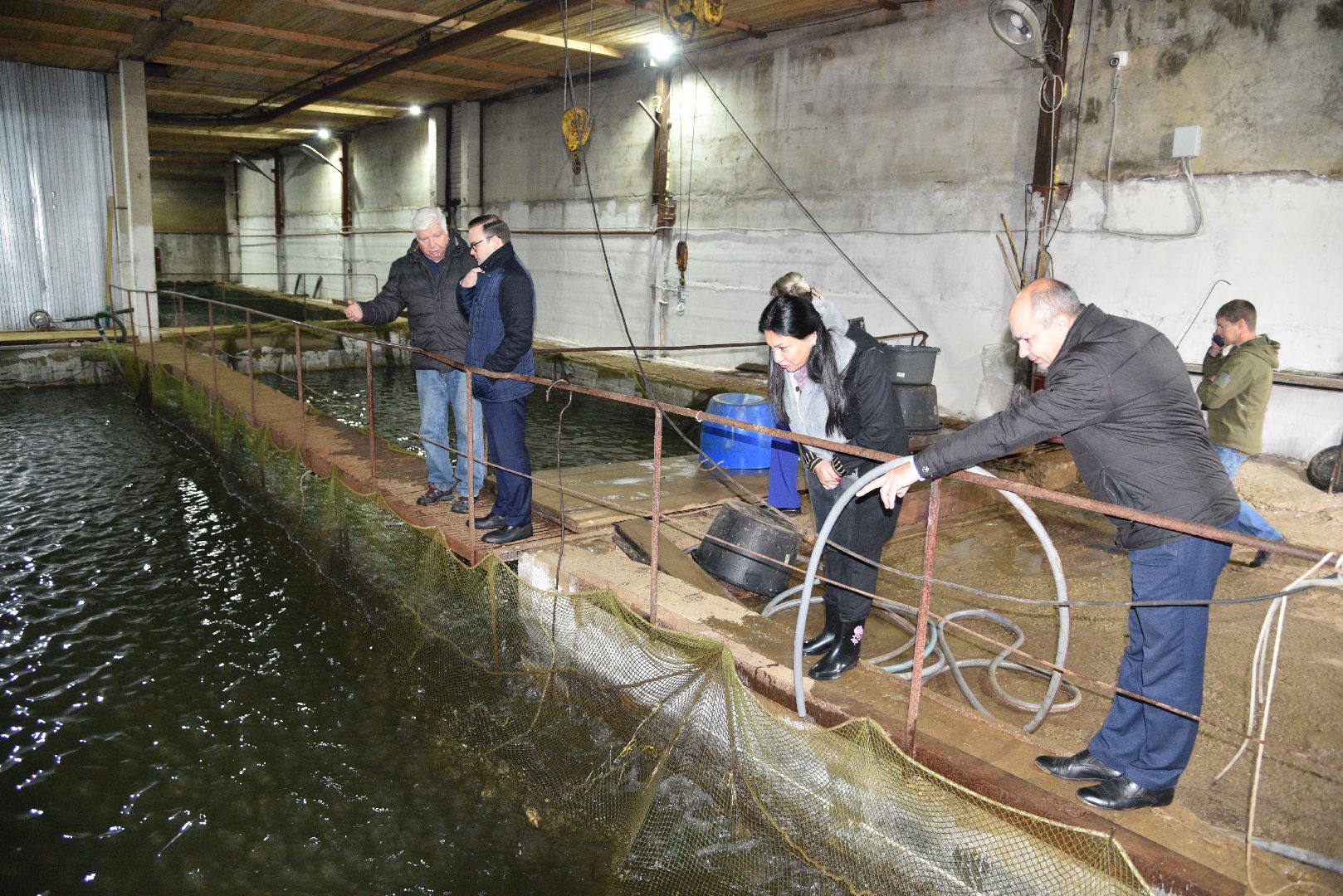 лотошино, лотофиш, экономика, сельское хозяйство, рыбоводческое хозяйство,