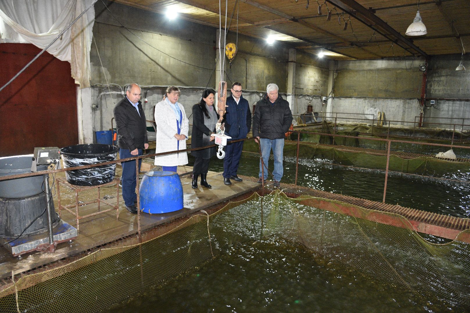 лотошино, лотофиш, экономика, сельское хозяйство, рыбоводческое хозяйство,