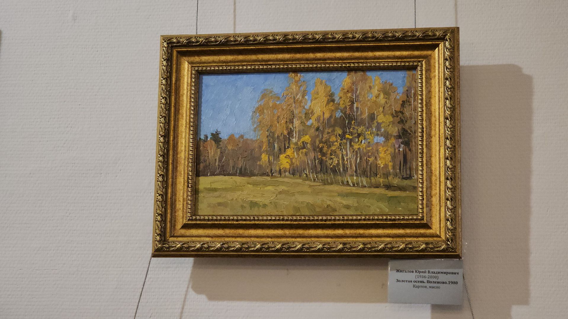 кашира, краеведческий музей, выставка, василий поленов,