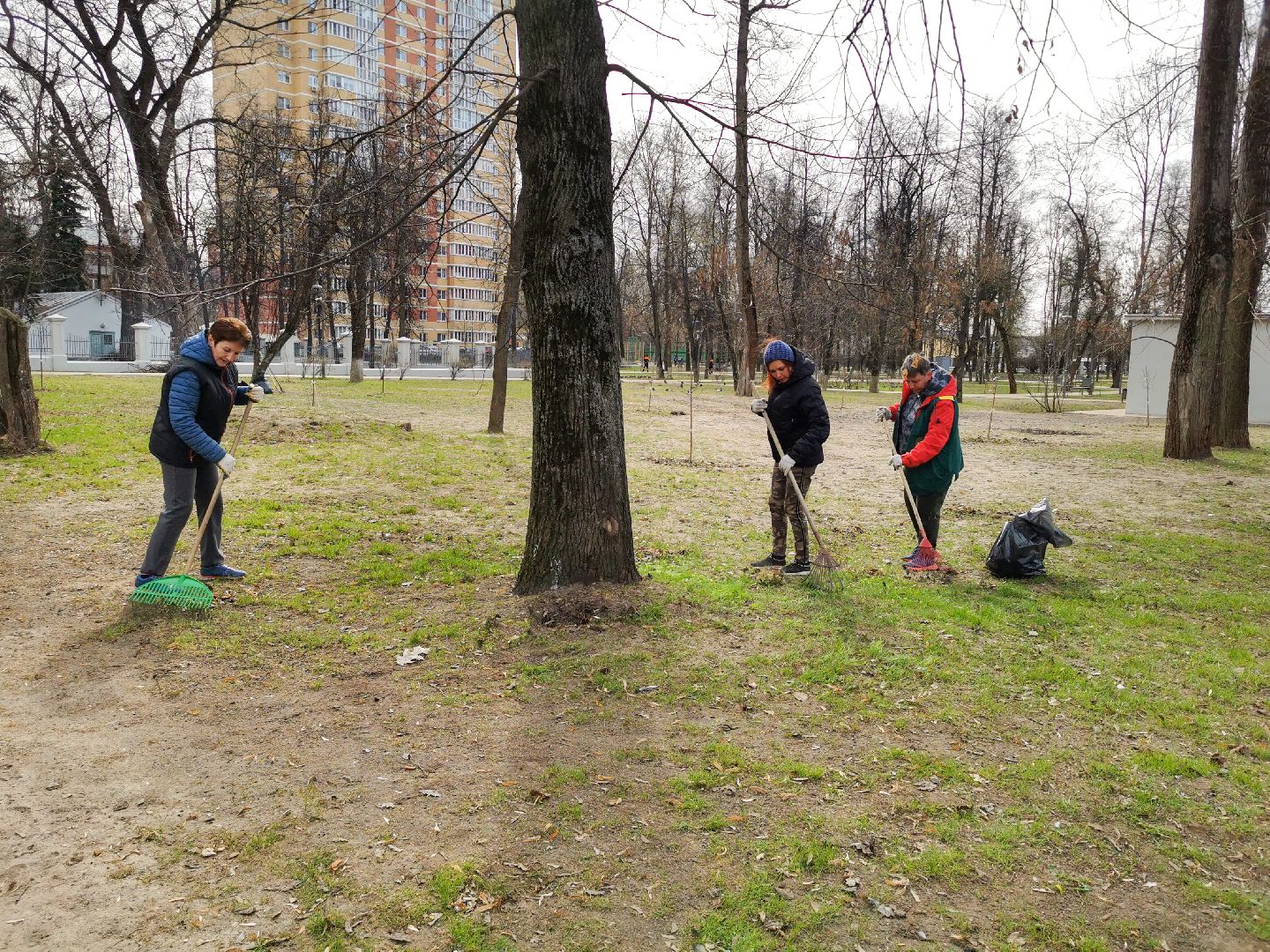 субботник, уборка мусора, благоустройство