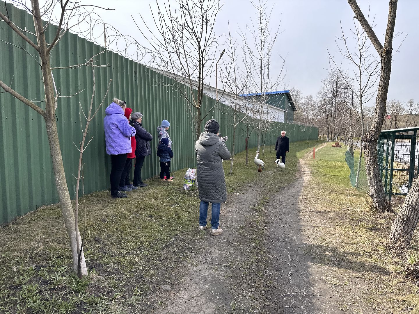 Солманово, Одинцово, Благоустройство, Экология