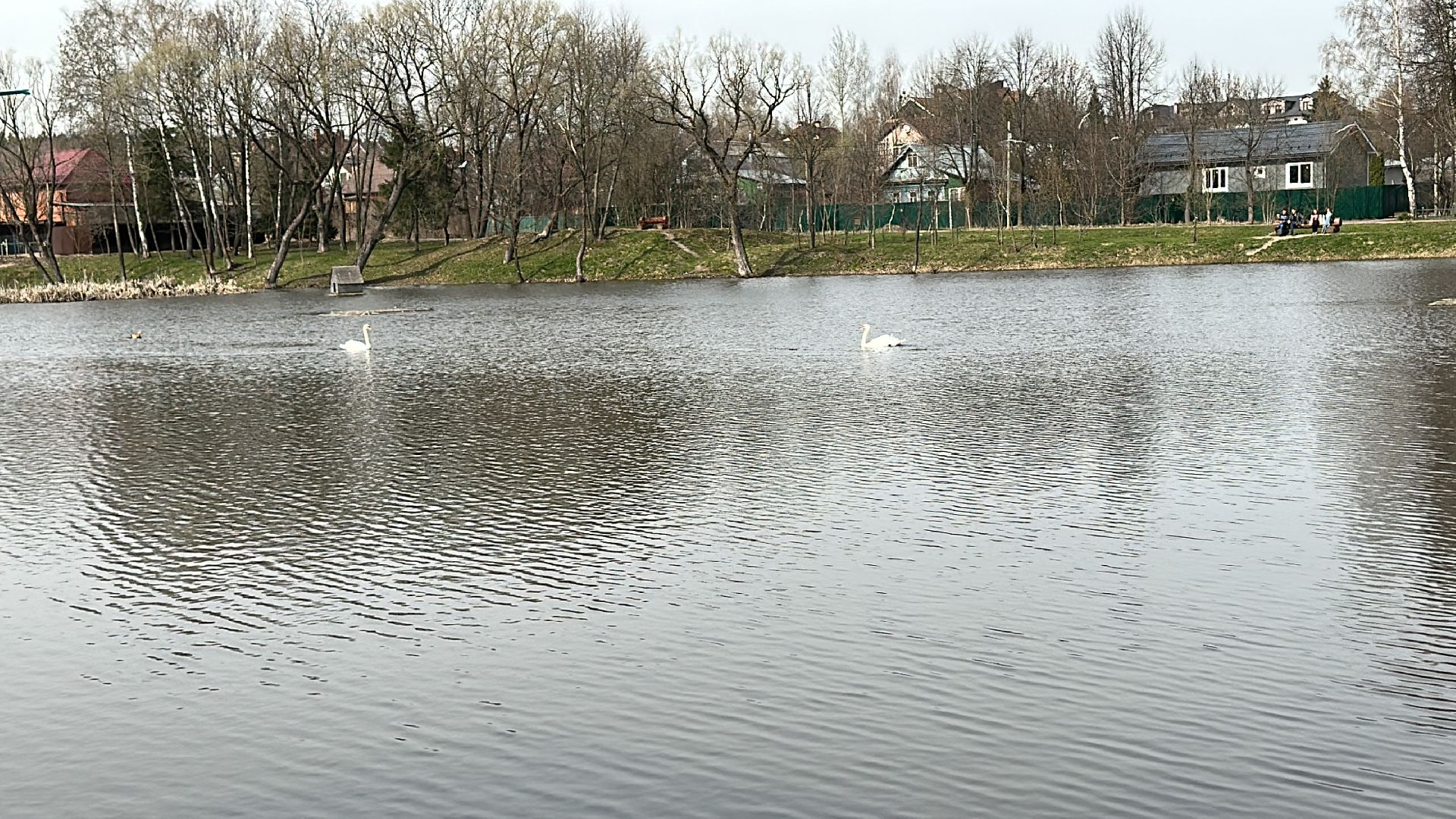 Солманово, Одинцово, Благоустройство, Экология