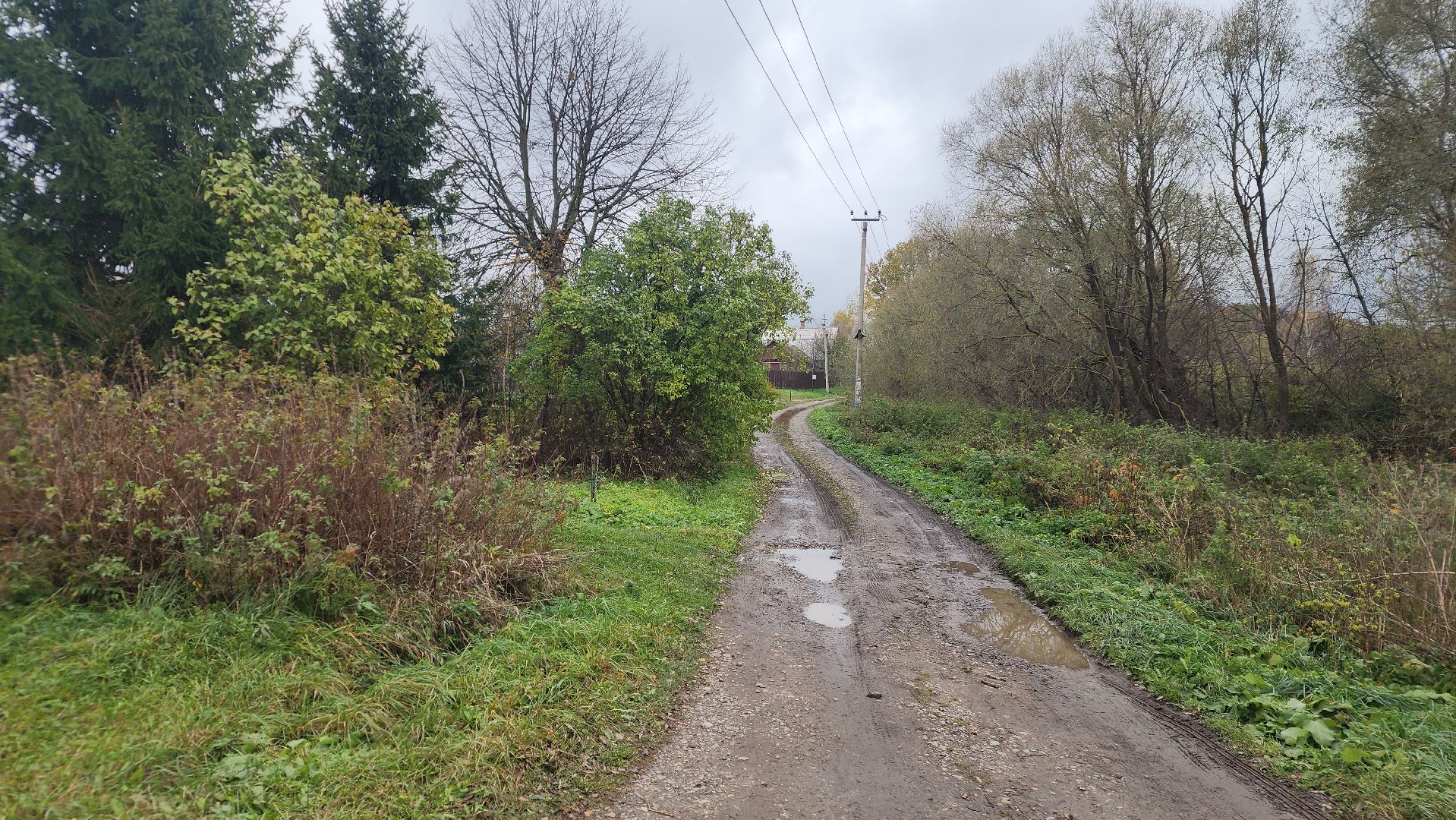 выездная администрация, электричество в деревне, электросети,