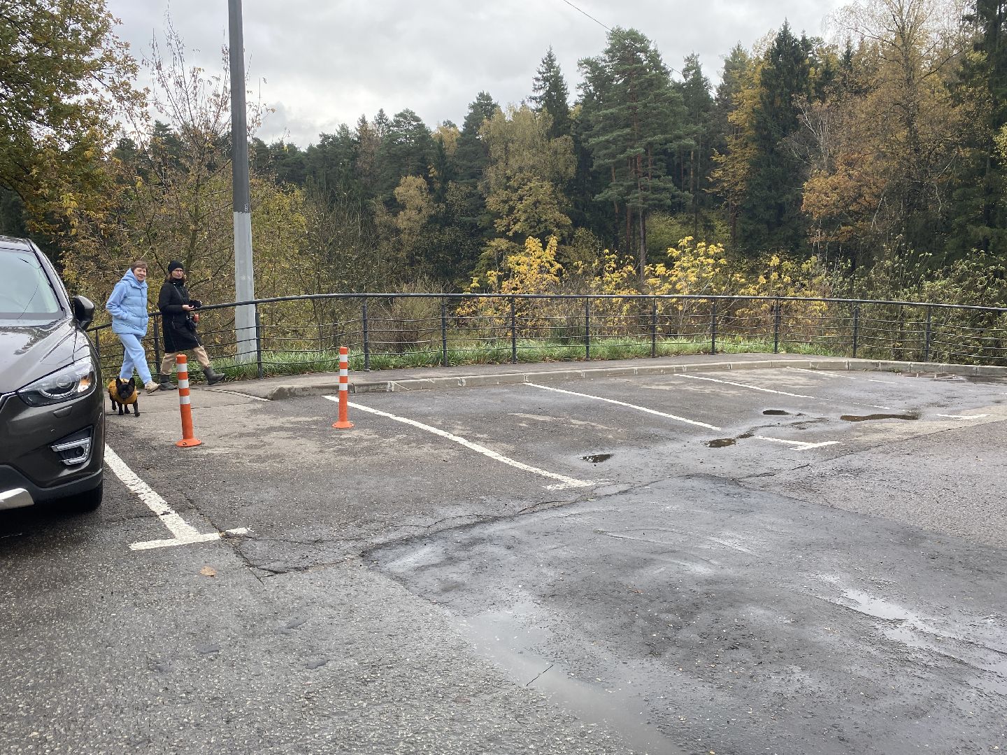 обращения жителей, Власиха благоустройство, обход территории власиха, микрорайон заозерный власиха, благоустройство Заозерного,