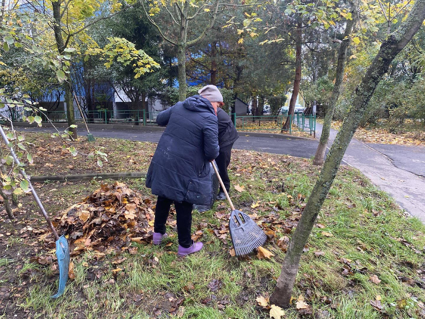 обращения жителей, Власиха благоустройство, обход территории власиха, микрорайон заозерный власиха, благоустройство Заозерного,